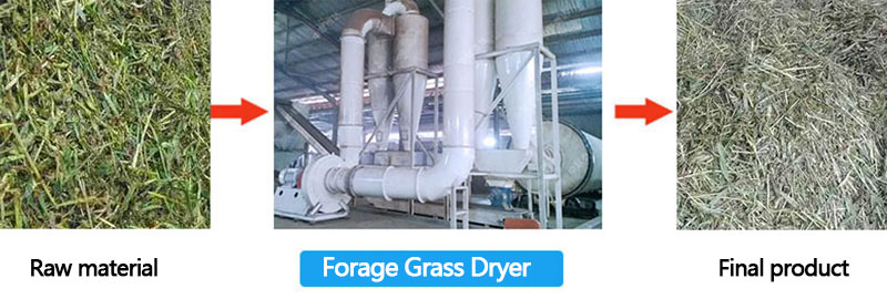 forage grass drum dryer
