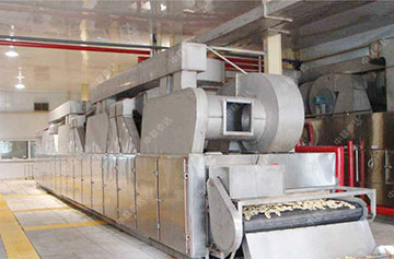 Mesh Belt Dryer