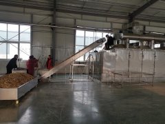 Taida Aftersales Department Inspect Mesh Belt Drye
