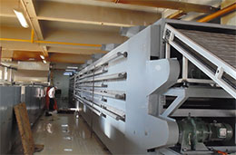 mesh belt dryer