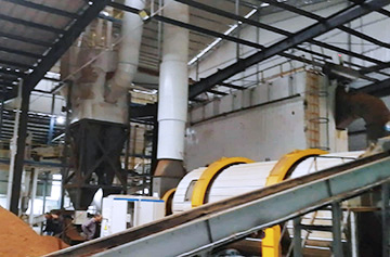 Pomace Dryer