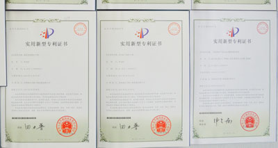 Patent Statement For Taeda E-Style Biomass Dryer