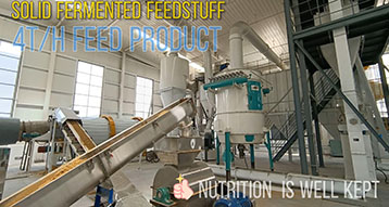 Biocom Solid Fermented Feedstuff E-style Drying System Put into Production