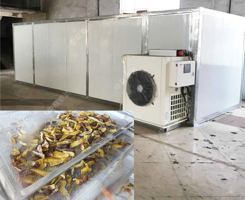 Sweet potato tray dryer