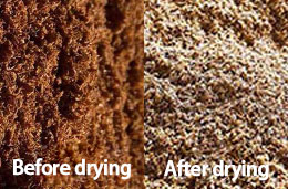 E-style biomass dryer